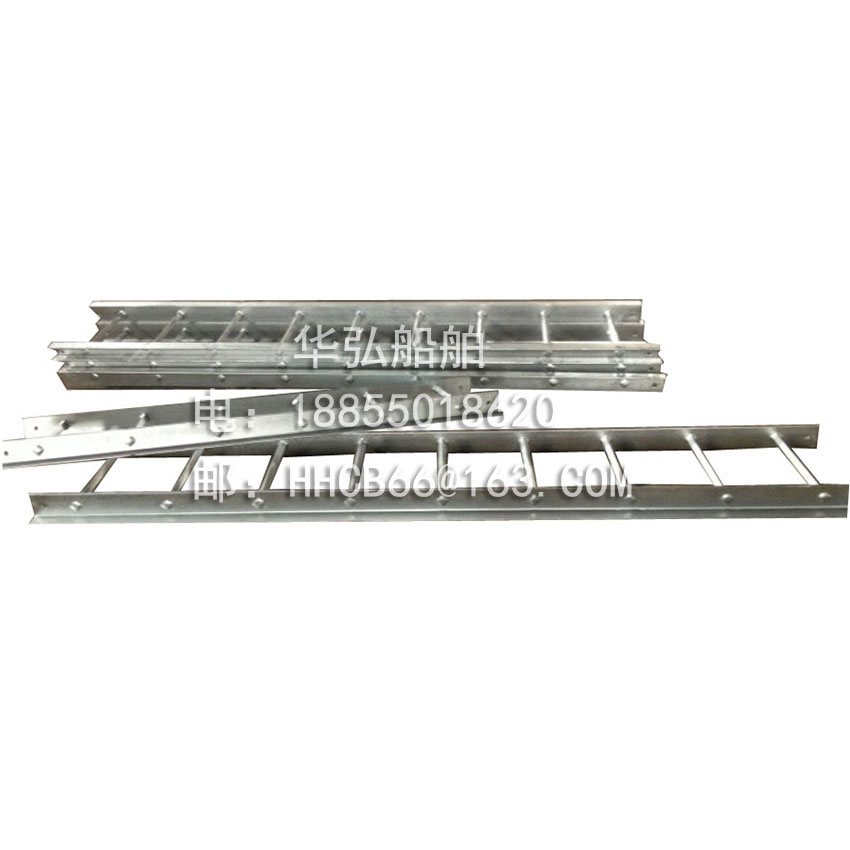 Stainless steel vertical ladder